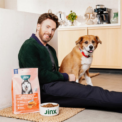 Jinx Premium Dry Dog Food, Real Salmon, Brown Rice & Sweet Potato Kibble with Superfoods & Probiotics, No Fillers, for All Lifestages, 11.5lb